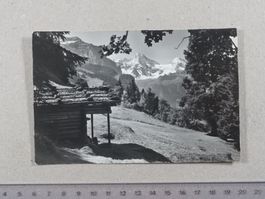 Bei Wengen, 1961