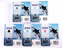 Epson Druckerpatronen SC P-600