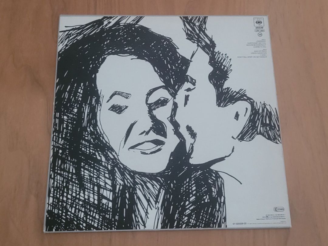 Vinyles: LP  Bob Dylan – D'occasion à Martigny par MZ-67 1