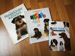 3-Teiliges Bücherset über Hunderassen, Haltung, Erziehung