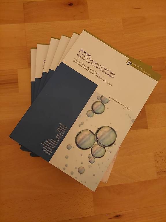 Libri: Lehrmittel Passerelle – Usato da Arlesheim venduto da lin_b2xk 3