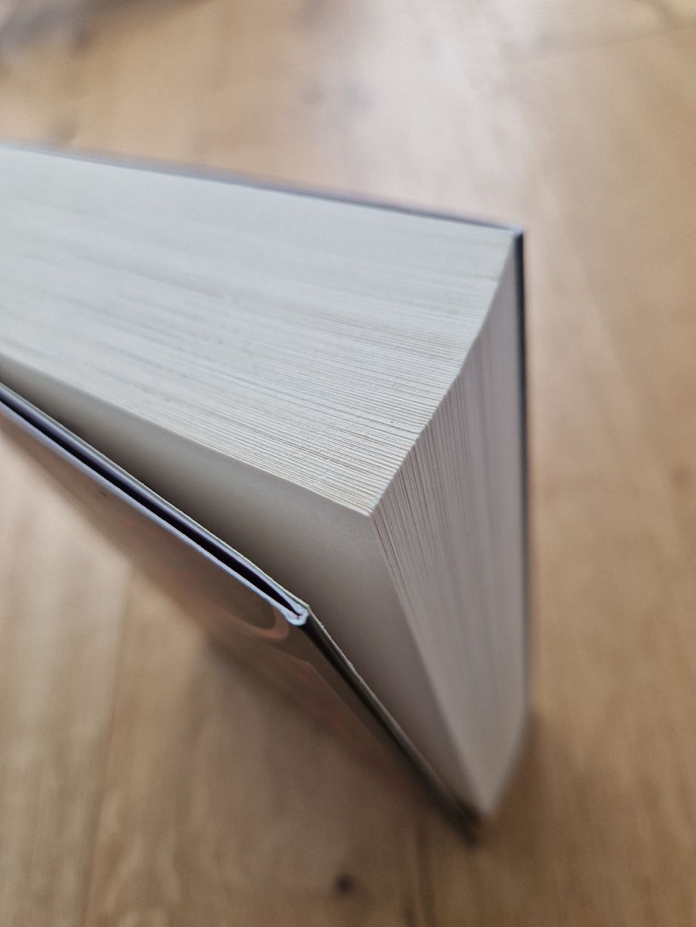 Libri: Only a Monster von Vanessa Len – Usato da Ruswil venduto da Angieee 3