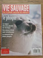 Vie sauvage - le phoque