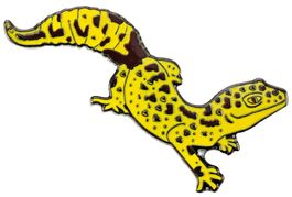 Pin "Leopardgecko" *Ausverkauf*