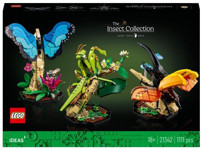 Lego Kit di costruzioni: LEGO Ideas: Insekten Sammlung 21342 – Usato da Rheinfelden venduto da jan_qs82