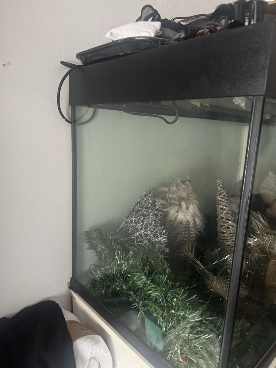 Aquarium: Aquarium – Gebraucht aus Stansstad von noe_x8pr 1