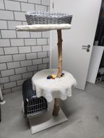Neu Kratzbaum mit Weidenkorb und Josty Transportbox