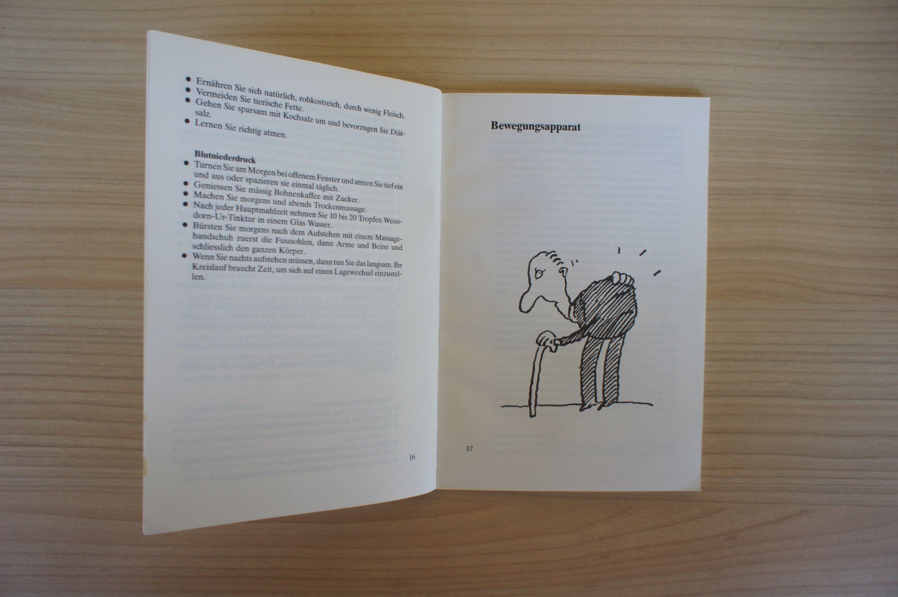 Libri: Rezepte aus Grossmutters Hausapotheke – Usato da Einigen venduto da Seeland2ndHand 4