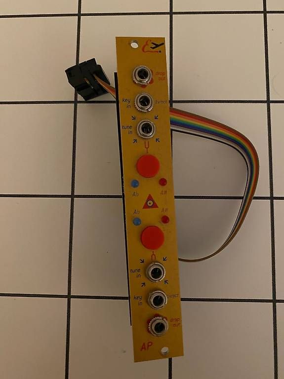 Strumenti musicali: After Later Audio AP  – Usato da Bonstetten venduto da ch22386