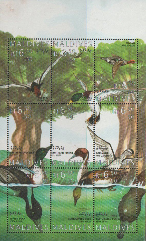 Tutti i francobolli: Maldives oiseaux marins  . – Nuovo e nell'imballaggio originale da Crans-Montana venduto da kira56