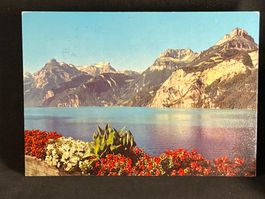 Vierwaldstättersee: Gitschen, Urirotstock, Ober- u Niederb.