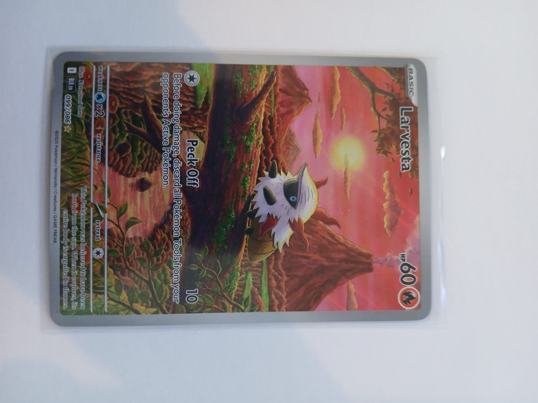 Pokémon Cartes à collectionner: Larvesta #99 Black Bolt EN – D'occasion à Bülach par PokeGoods.ch
