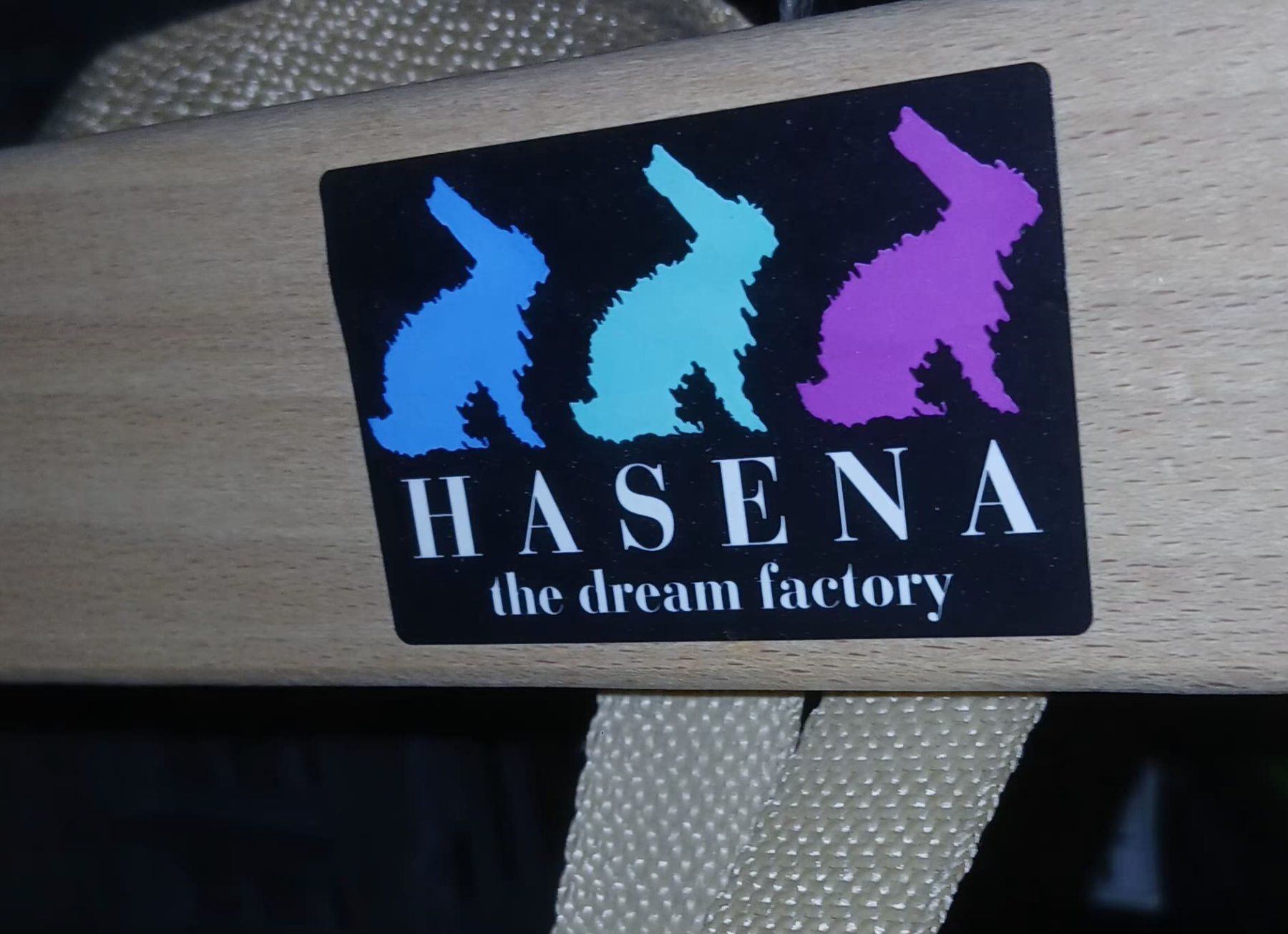 Hasena Betten: Hasena Bett 90x200 – Gebraucht aus Schönenwerd von Chez_Mimi 1