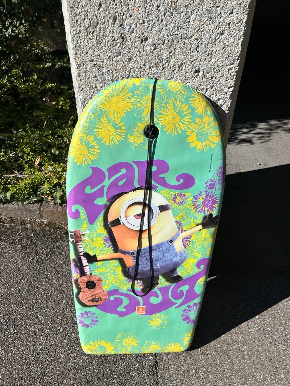 Tavole da surf e di nuoto: MINIONS, Schwimmbrett – Usato da Küsnacht ZH venduto da MagnusAa