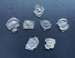 Brakteaten Sammlung