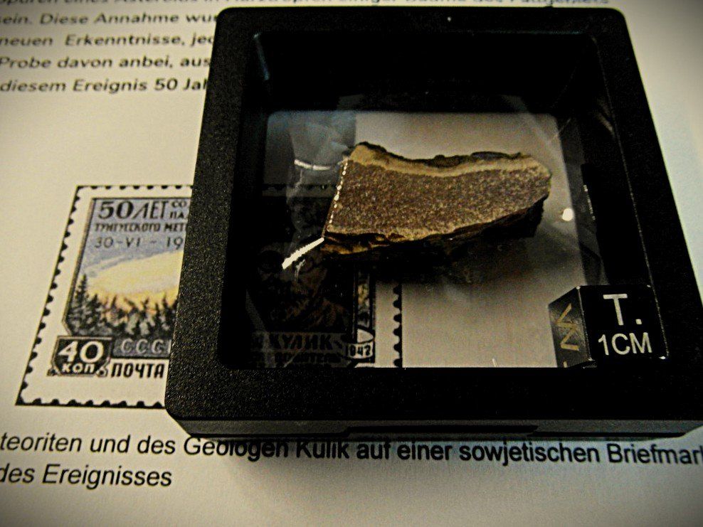 Medaglie: Tunguska Borke / Baumrinde  +  Briefmarke UDSSR + Medaille – Nuovo (secondo la descrizione) da Lengnau BE venduto da Lanthemann 3