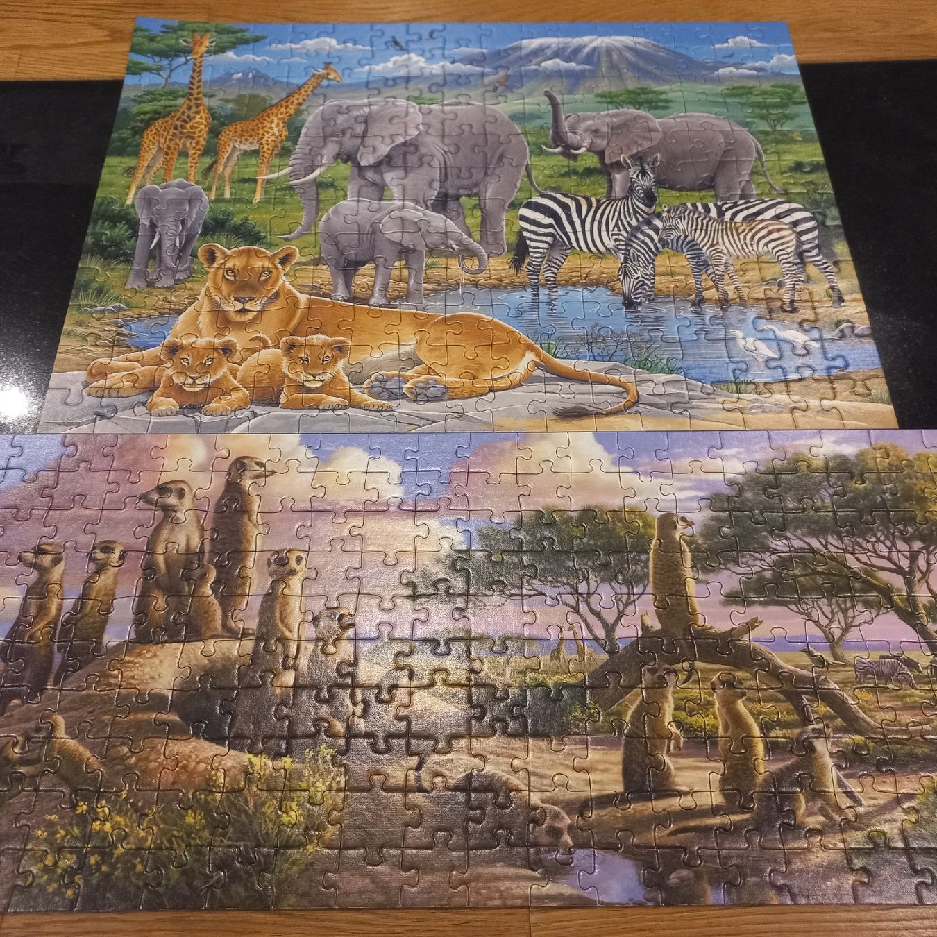Ravensburger Puzzle: Ravensburger Puzzle 2 × 200 pièces . – Nuovo (secondo la descrizione) da Dompierre FR venduto da fat_xth5 3