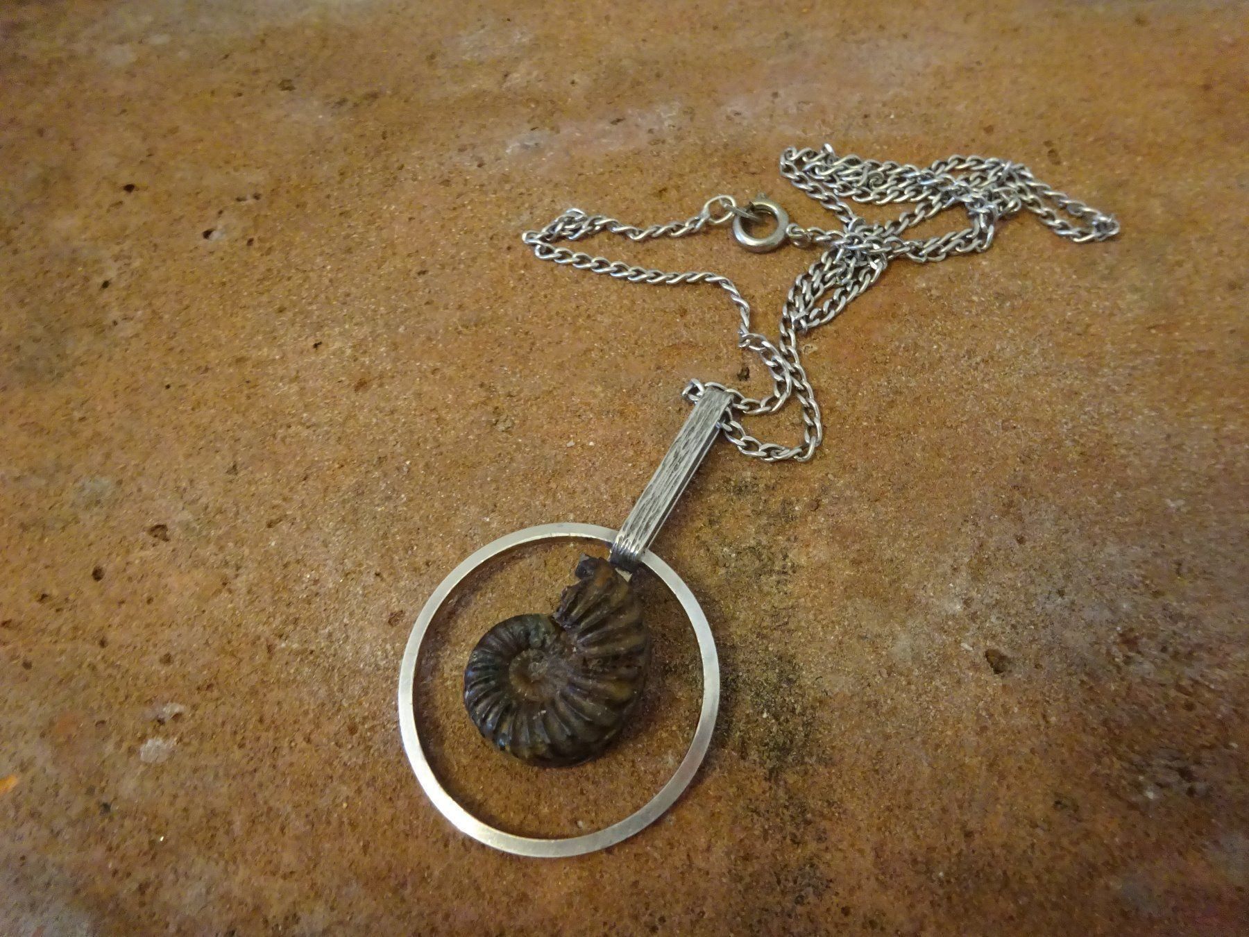 Catenine: Kette Ammonit Schnecke / 800 Silber – Usato da Esslingen venduto da FetteSchnecke 2