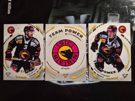 SC Bern Team Power Sportzoo 2024/25