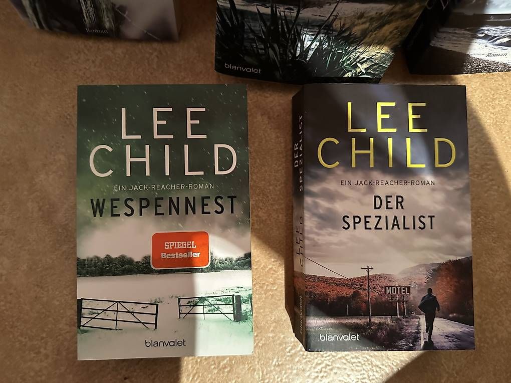 Libri: 5 Bücher (Charl.Link+Lee Child) – Usato da Therwil venduto da jas_vpt8 2
