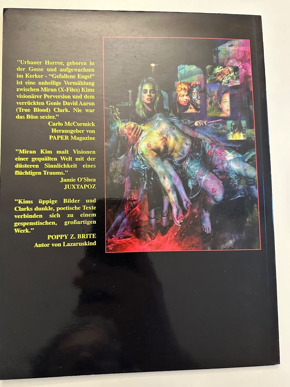 Comics: Ein Abenteuer von Sidney & Howell - Das Geisterschiff – Gebraucht aus Münsingen von Ganjam 2