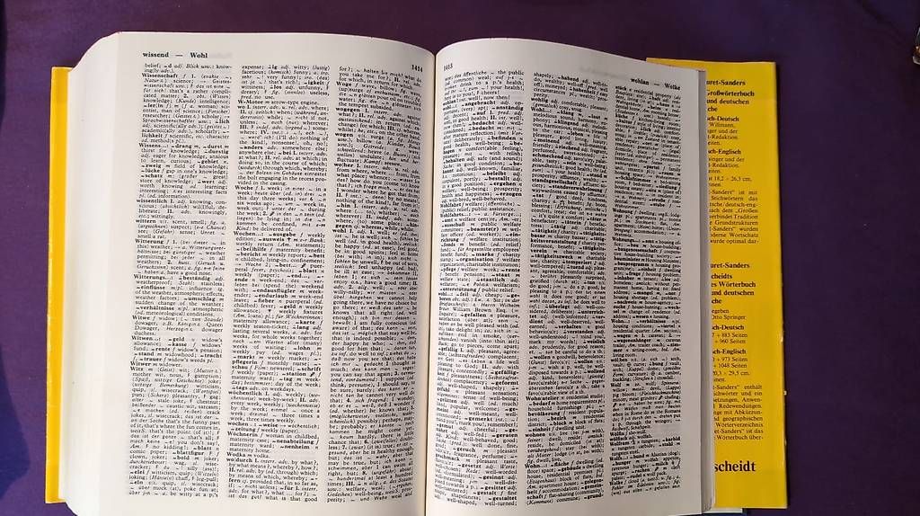 Libri: Handwörterbuch Englisch – Usato da Birmenstorf AG venduto da R_C_B 3