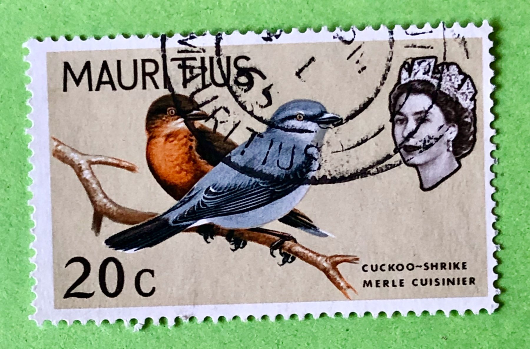 Tutti i francobolli: BRIEFMARKEN AUS  Mauritius Vögel GESTEMPELT  – Usato da Aarau venduto da Angi-007