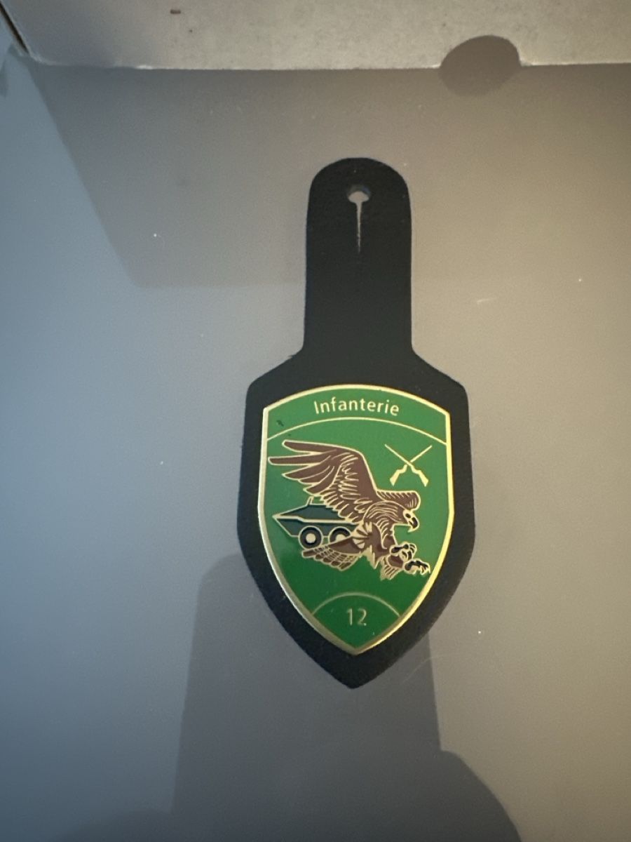 Schweizer Armee Placchette & Badge: 2- infanterie 12 – Usato da Morbio Inferiore venduto da Ecod 1