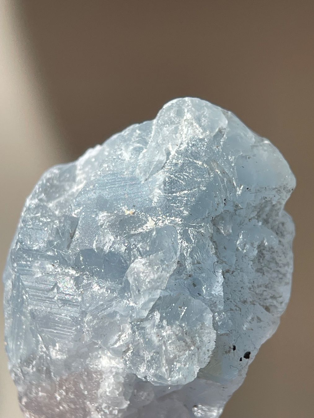 Minerali & Pietre curative: Coelestin Rohstein – Nuovo e nell'imballaggio originale da Schiers venduto da sisikristall 1