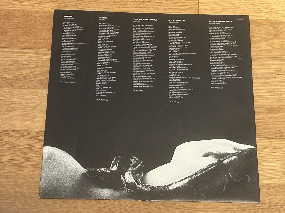 Dischi in vinile: Whitesnake. 1984. Slide It In – Usato da Faulensee venduto da Mizuno06 3
