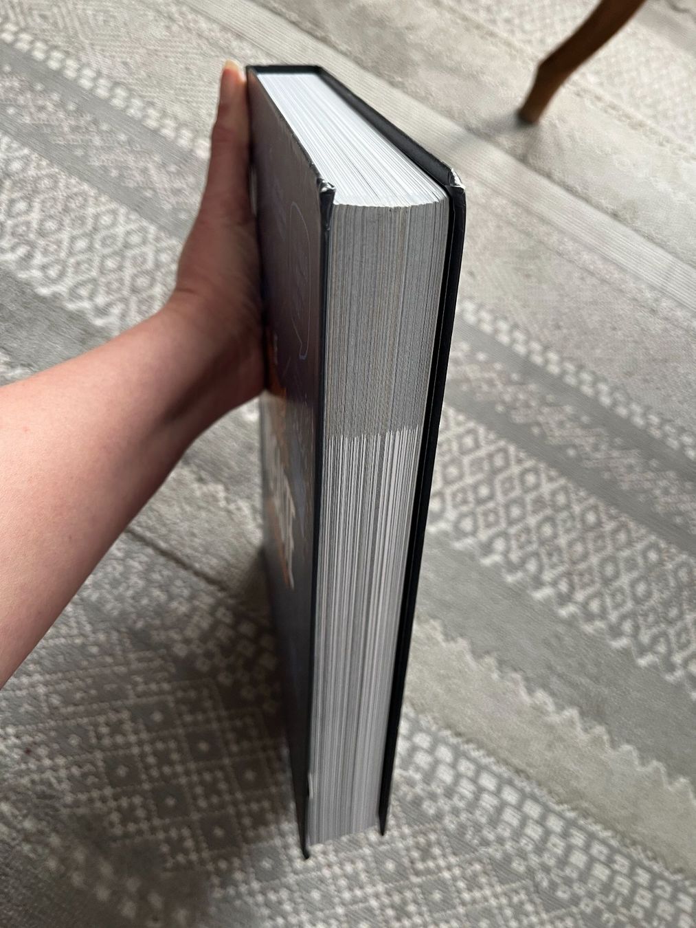Libri: LUDOC: Le manuel de survie du vidéaste – Usato da Lausanne venduto da Kinga_Shopaholic 5