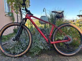 Bixs core 100
