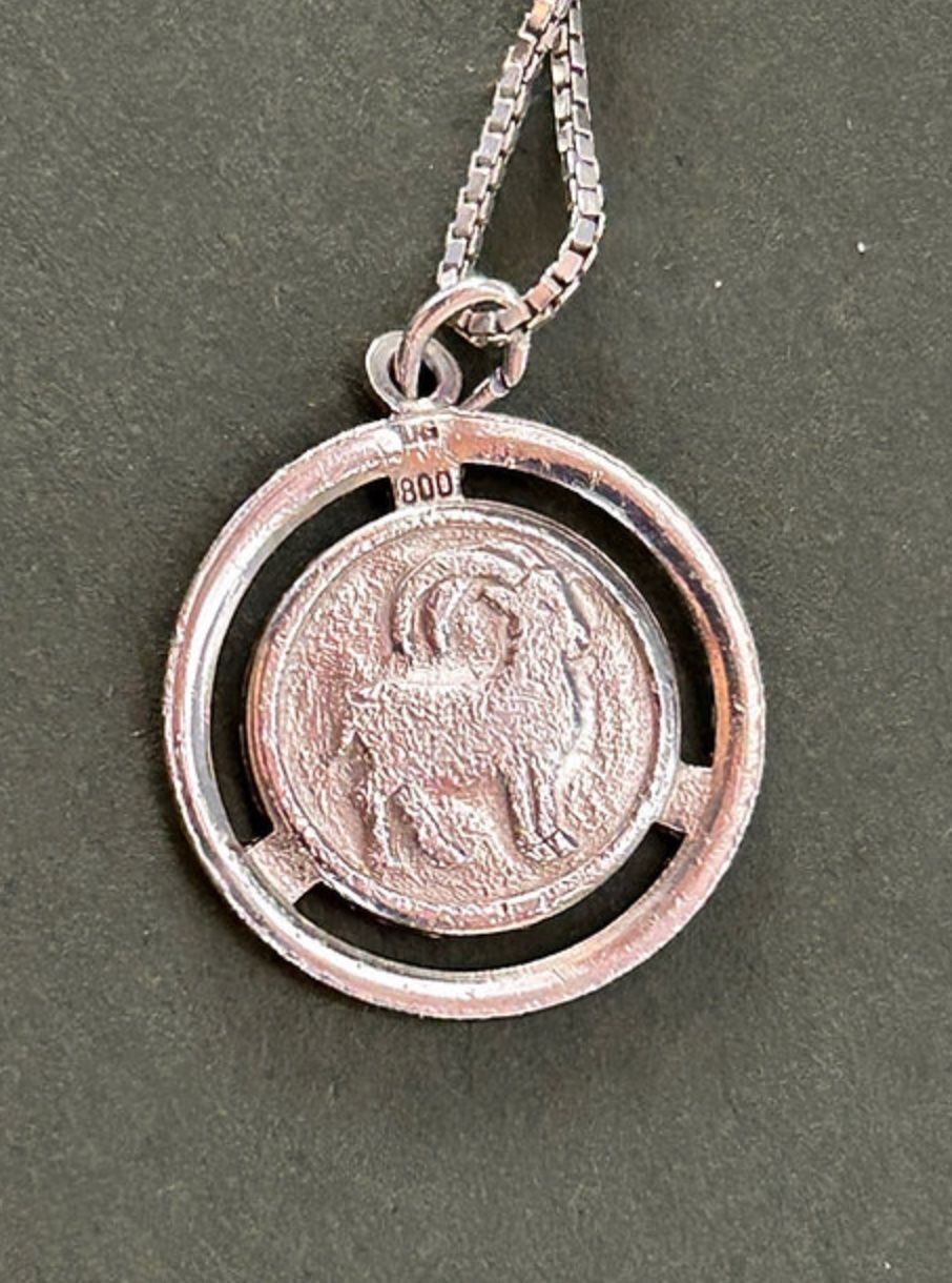 Catenine: Kette Steinbock Silber – Usato da Basel venduto da bellespirit