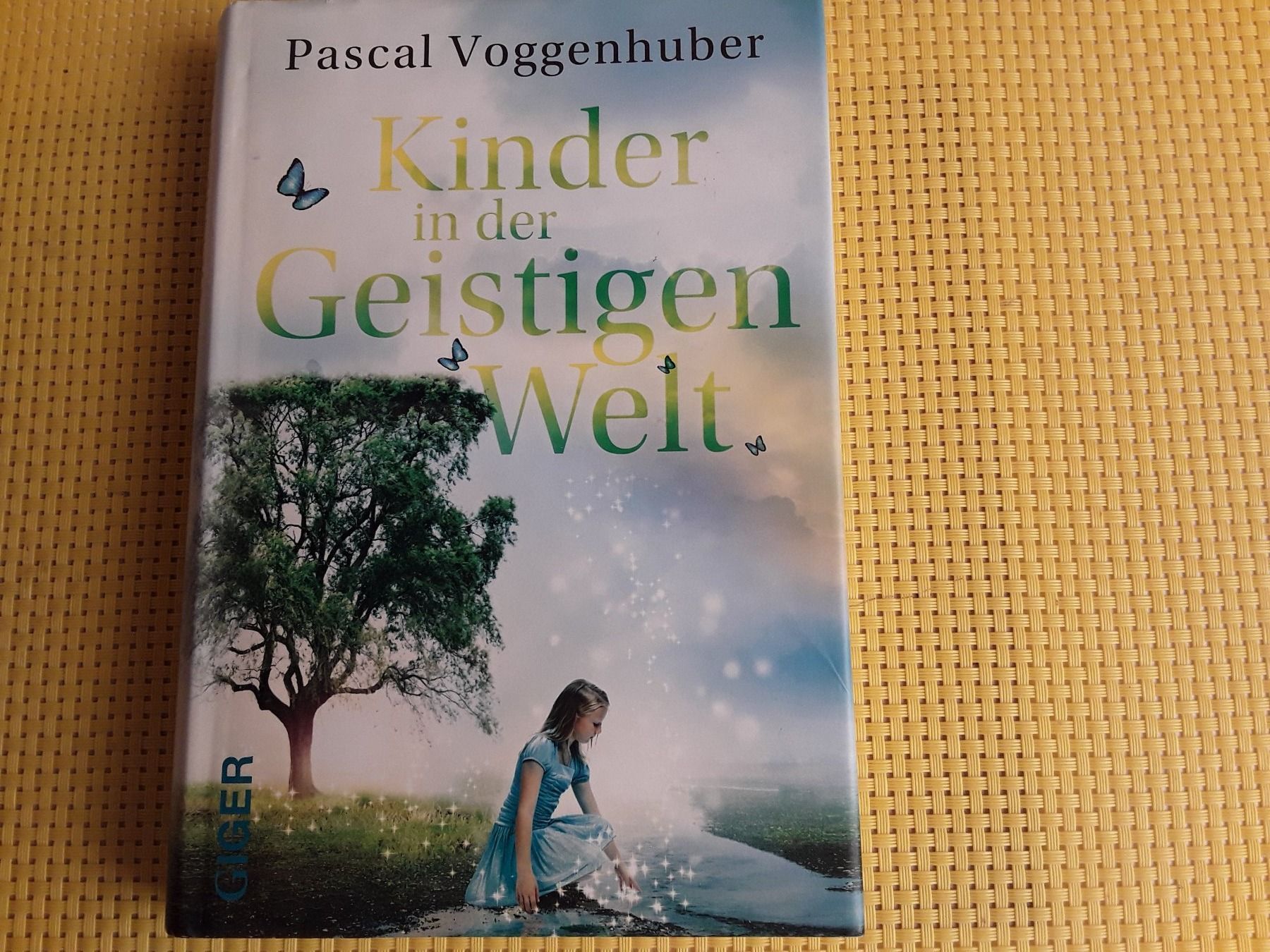 Libri: Kinder in der geistigen Welt – Usato da Rebstein venduto da Buchsi03