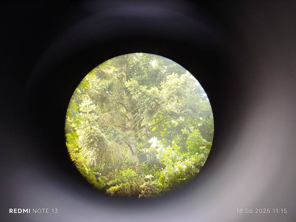 Binocoli: Opernglas VOIGTLÄNDER BRAUNSCHWEIG – Usato da Rupperswil venduto da Viland_Dann 3