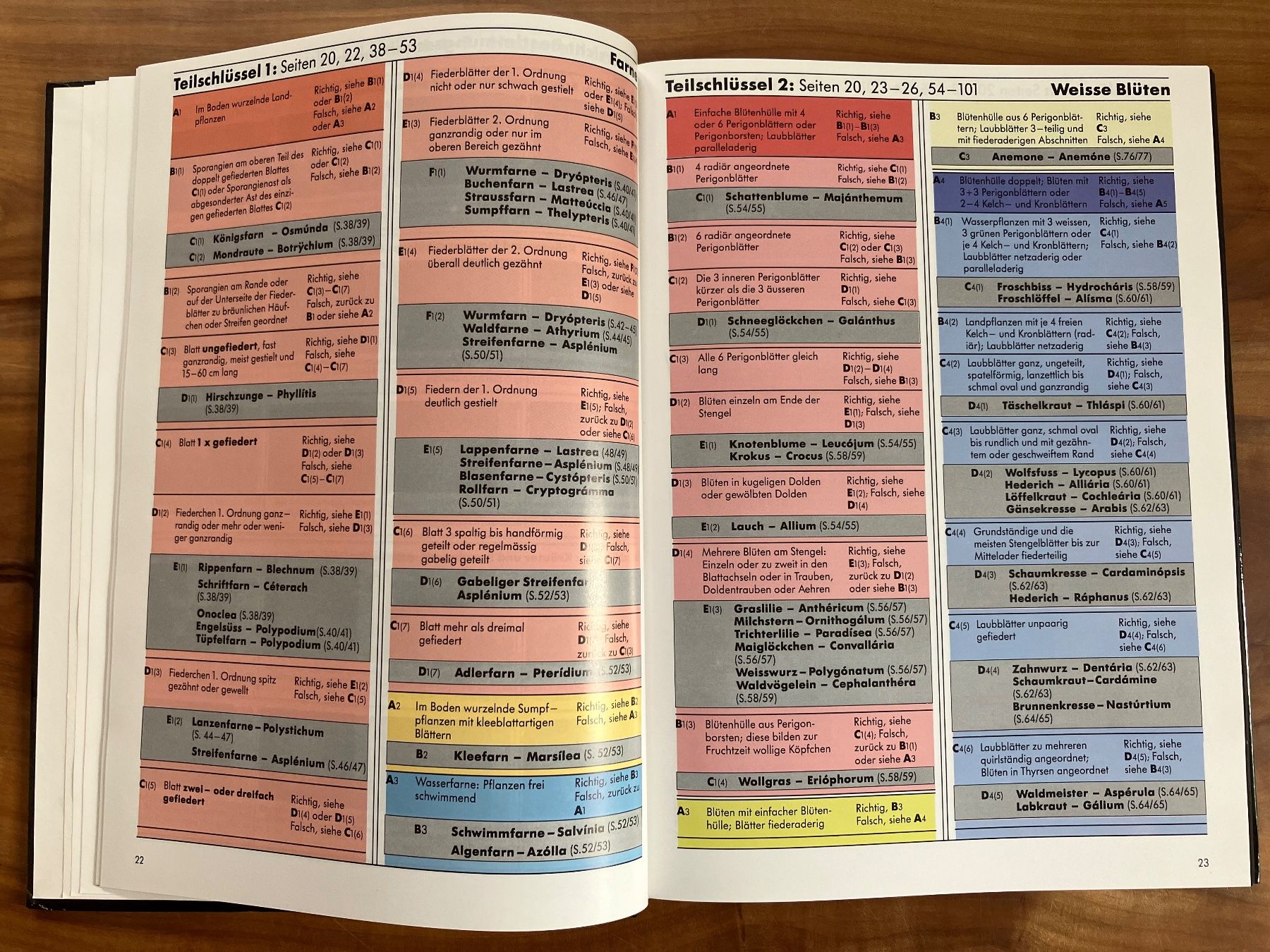Libri: Pflanzen Europas – Usato da Bern venduto da sturmmoewe 6