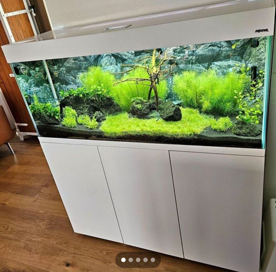 Wunderbar Aquarium Gebraucht Kaufen Ebenbild