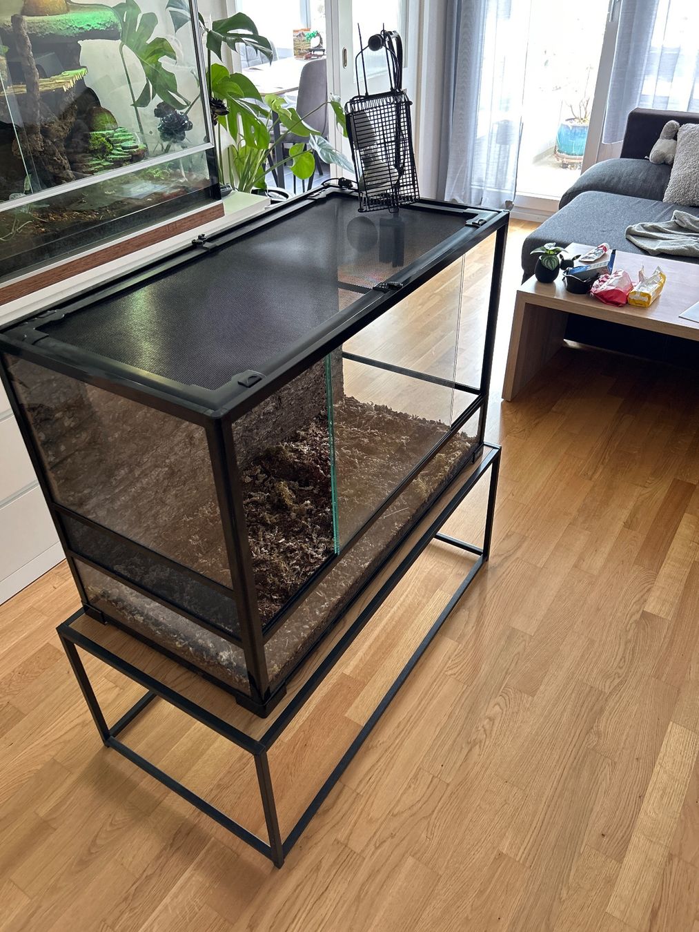 Terrario: Terrarium mit Lampe und Tisch – Usato da Spiez venduto da Marix990 2