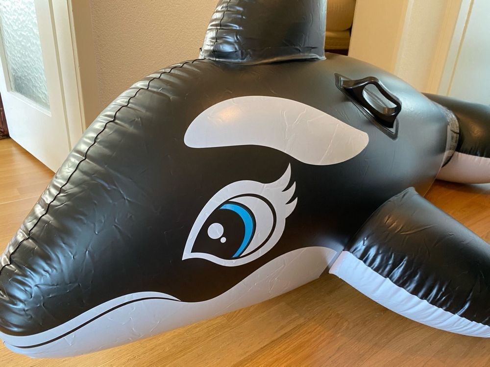 Aufblasbarer Orca Intex Schwimmtier Pool Float | Kaufen auf Ricardo