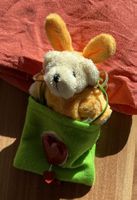 Oster-Teddy
