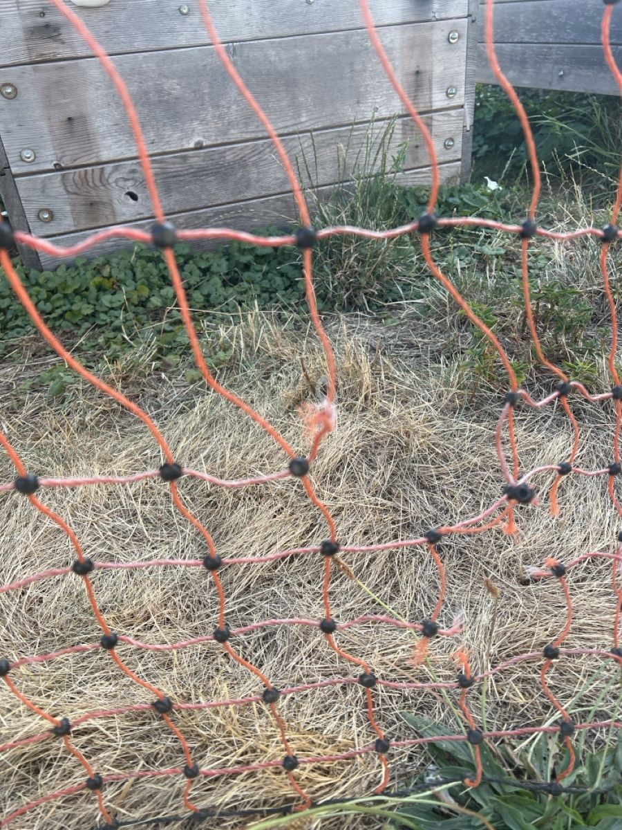 Sonstige Stalleinrichtungen: Weidezaun Teilstück  – Gebraucht aus Biglen von Giorgio4 2