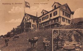 Feusisberg SZ, Kurhaus Feusisgarten, Stempel, gelaufen 1910