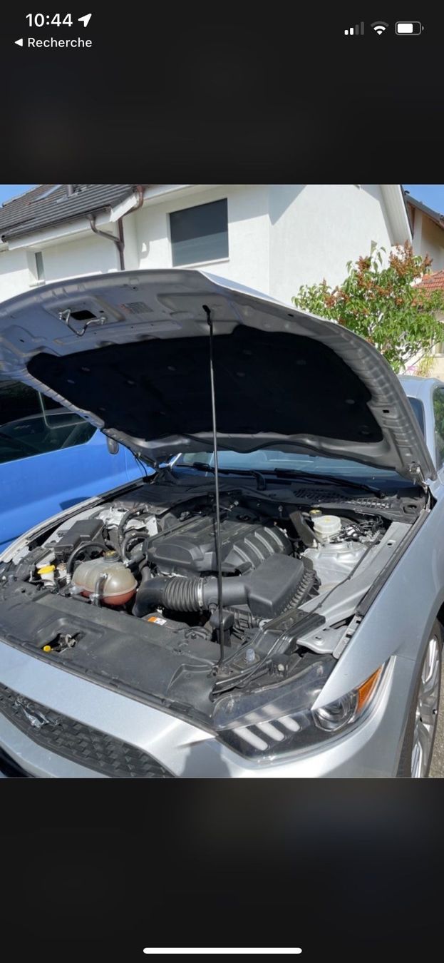 Ford Automobili: Ford Mustang Service + Expertisée – Usato da Fontainemelon venduto da Fabi3224 3