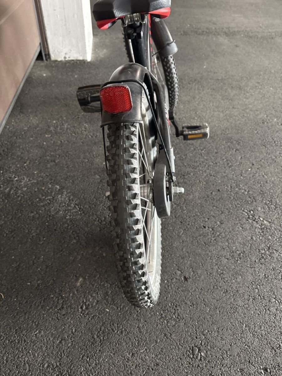 Puky Biciclette: Kindervelo Puky – Usato da Chur venduto da copino 3