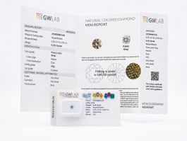 0.29 Carat Fancy Gray Diamant - VS2