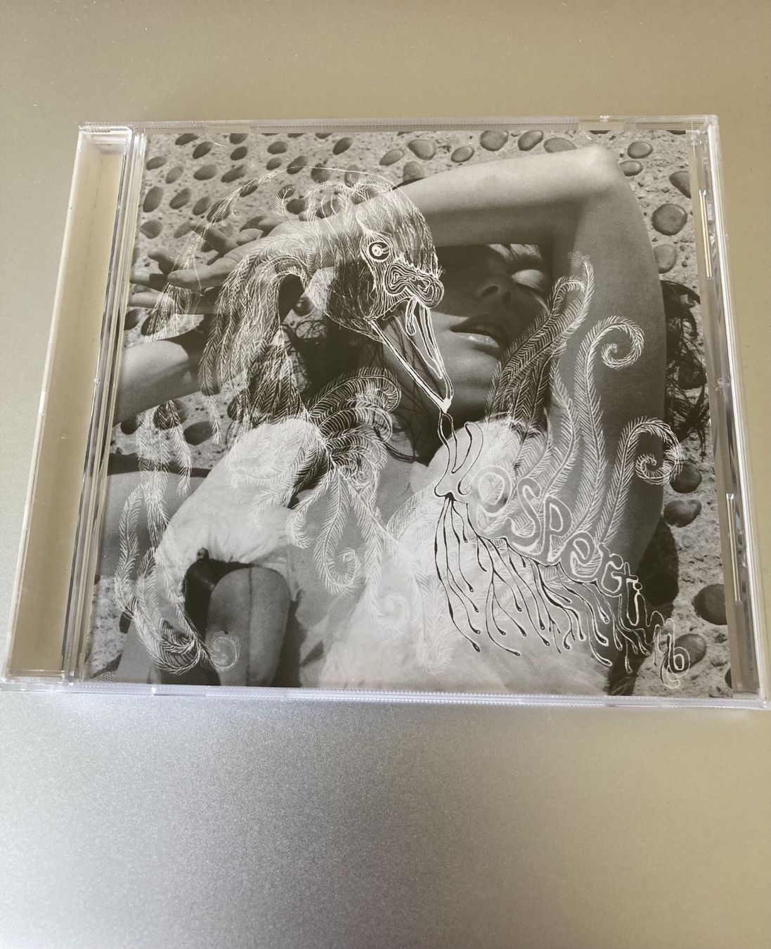CDs: Björk - Vespertine – D'occasion à Neuchâtel par Rougesky