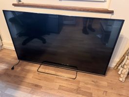 Panasonic TX-55DSW504 LED TV - Top Zustand! 📺