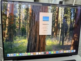Apple MacBook Pro 16” M4 Pro 48GB / 512GB Top Zustand