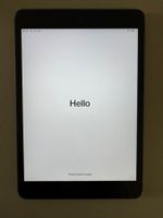iPad mini 2