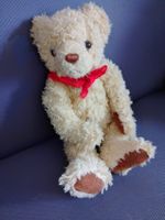 Süsser, sehr schöner Teddybär TEDDY sucht neues Zuhause TOP!